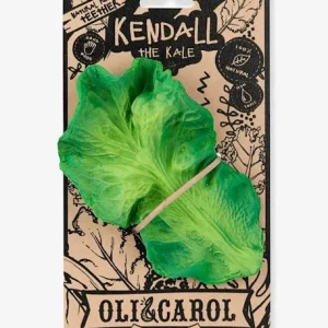 Jouet De Dentition Kendall La Feuille De Chou – OLI & CAROL Vert – Oli Et Carol 10